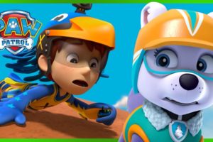 PAW Patrol and Daring Danny Rescue Missions! | PAW Patrol | Cartoons for Kids Compilation