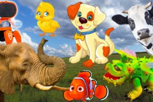 Physical features of farm animals: Cow, elephant, hippo, chicken, dog, clownfish - Part 3