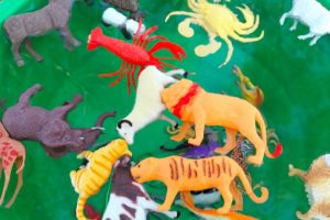Plastic Wild Animals in Water Tub || 3 Dinosaurs, 4 Sheep, Crab, Scorpion, Lion, Tiger, Rhino, Deer,