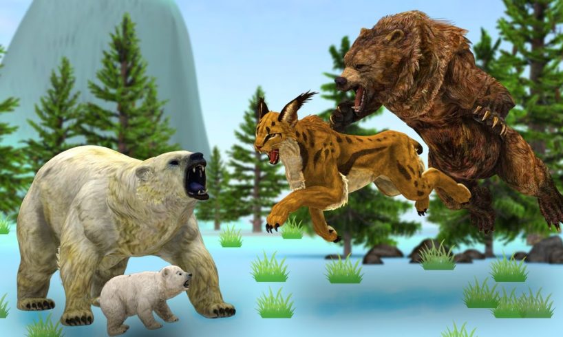 Polar Bear vs Jaguar | Animals Fights Videos | Who would win a fight?