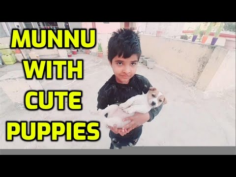 Puppy Playing and Enjoying with Munnu || Cute Puppies || Puppies || Cutest Dogs