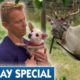 Race to Save Animals For Christmas! 🎄 | Full Episode