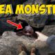 Real Sea Monster Sends Me to the Hospital!