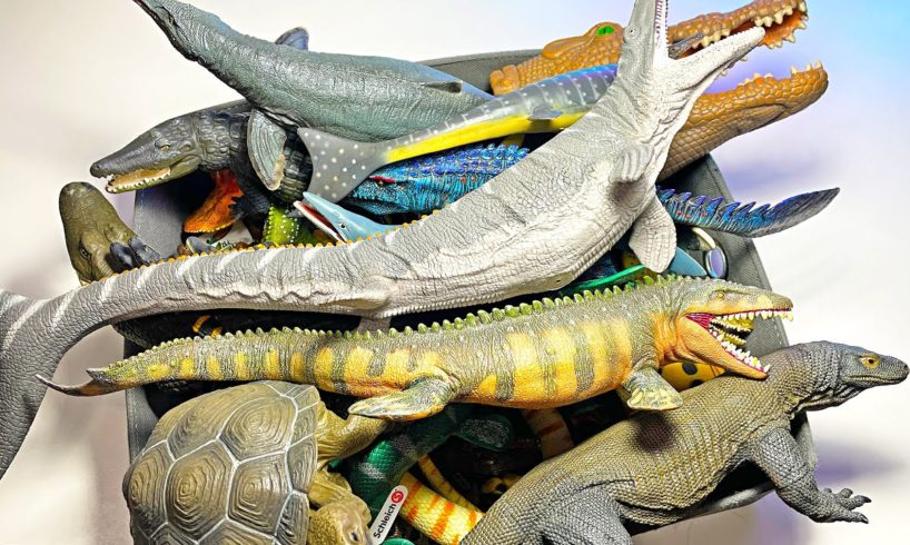 Reptiles & Prehistoric Reptiles Animals Collection - Mosasaurus, Alligator, Iguana, Cobra, Lizard