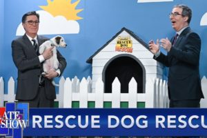 Rescue Dog Rescue with John Oliver