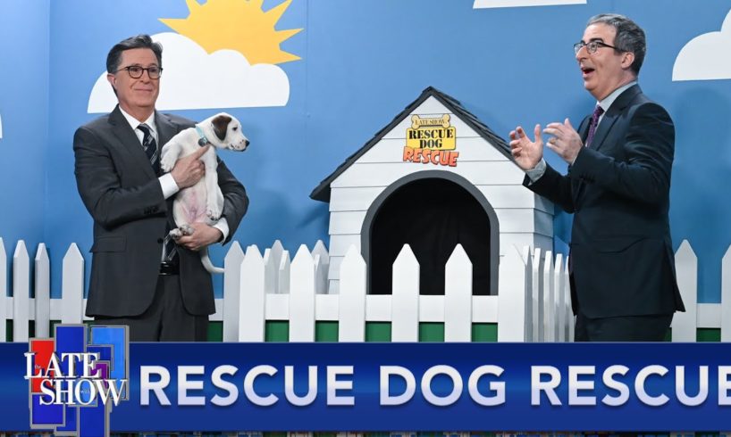 Rescue Dog Rescue with John Oliver