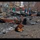 Russia & Ukraine Stray Dogs - Who Rescues More Humanely? You'll Never Guess!