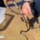 Serpiente marina rescatada vuelve a casa en moto acuática | El Dodo