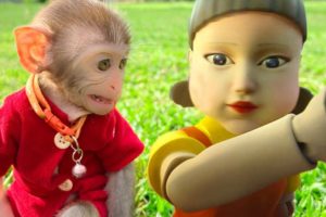 Squid Game vs Baby Monkey Animal : Monkey Baby  Bim Bim rescues sister