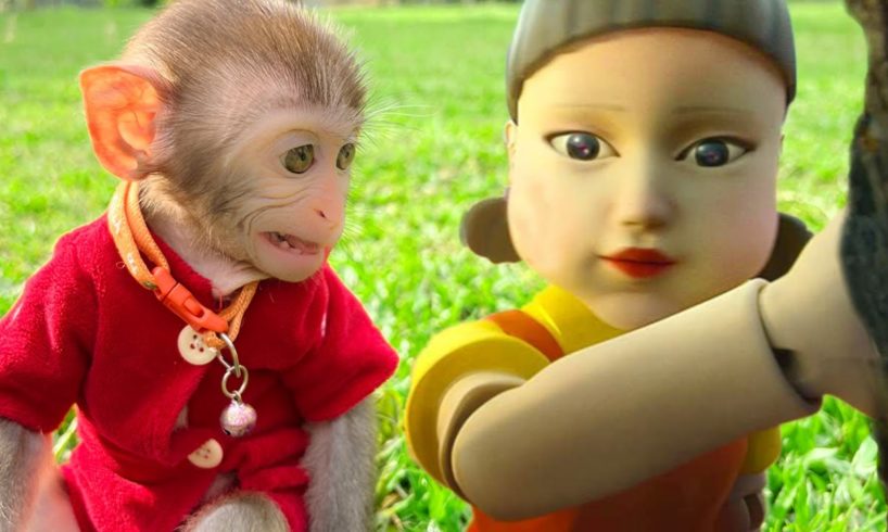 Squid Game vs Baby Monkey Animal : Monkey Baby  Bim Bim rescues sister