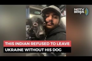 This Indian Refused To Leave Ukraine Without His Dog