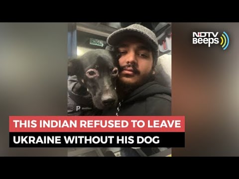 This Indian Refused To Leave Ukraine Without His Dog