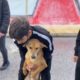 This dog followed the kids in a high school ❤️- Takis Shelter