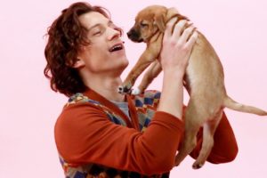 Tom Holland: The Puppy Interview (Part Two)