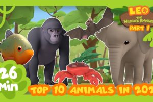 Top 10 Most Popular Animals from Season Two in 2021 Part 1! | Leo the Wildlife Ranger