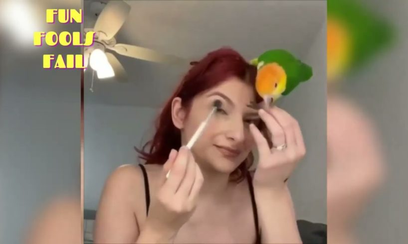 Try Not To Laugh - Fails Of The Week 2022 Epic Fails LMAO ED