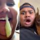 Try not to laugh with these pets, the hardest one yet