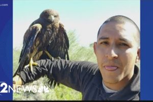 WATCH: Pest control tech rescues hawk from Valley pool drain