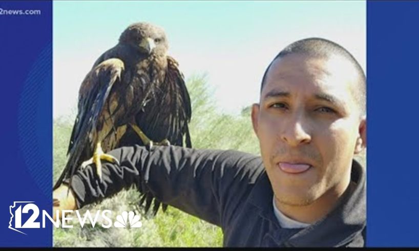 WATCH: Pest control tech rescues hawk from Valley pool drain