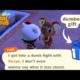 When the Apology Is Worse Than the Fight | Animal Crossing Villagers | ACNH Faith & Pecan Gift