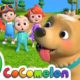 Where Has My Little Dog Gone? + More Nursery Rhymes & Kids Songs - CoComelon
