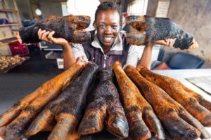 Zimbabwe’s Exotic Meats!! Super Rare African Village Food!!