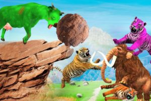 Zombie Cow vs Giant Tiger Fight Cow Cartoon Saved By Woolly Mammoth Giant Wild Animal Fights Videos