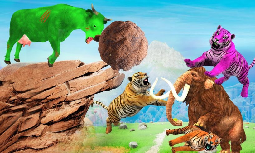 Zombie Cow vs Giant Tiger Fight Cow Cartoon Saved By Woolly Mammoth Giant Wild Animal Fights Videos