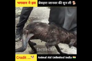 #shorts How to rescue animal shorts video ?😭 rescue team #shorts #india