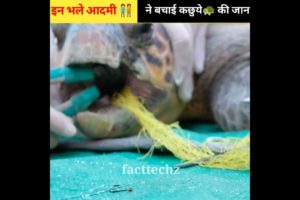 #shorts  How to rescue animal shorts video ? 😭#shorts #india #humanity rescue team