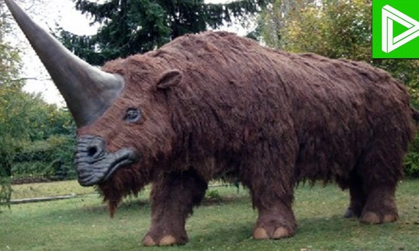 10 Extinct Animals That May STILL BE ALIVE