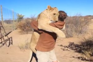 15 Most Heartwarming Animal Reunions with Owners
