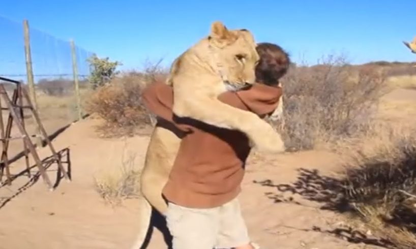 15 Most Heartwarming Animal Reunions with Owners