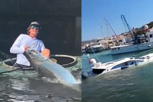 Boat Fails and Wins 2022 - Best of The Week | Part 131
