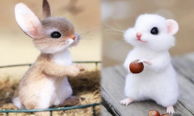 AWW SO CUTE! Cutest baby animals Videos Compilation Cute moment of the Animals - Cutest Animals #55