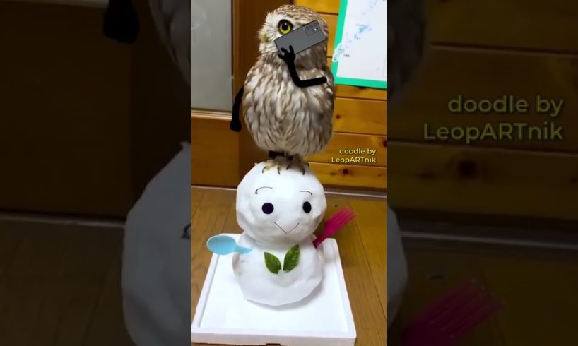 Cute baby animals Videos Compilation cutest moment of the animals - Cutest Puppies #12