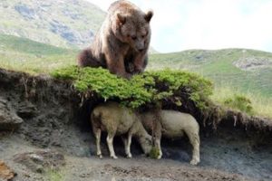 The Best Of Animal Attack 2022 - Most Amazing Moments Of Wild Animal Fight! Wild Discovery Animal p5