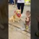 Cute and Funny Dog Videos | Minutes of Funny Puppy | Funniest & Cutest Puppies - Funny Puppy