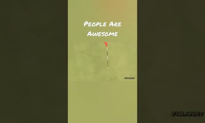 People Are Awesome