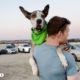 2-Pound Great Dane Puppy Has To Start Walking Before He Gets Too Big  | The Dodo Adoption Day