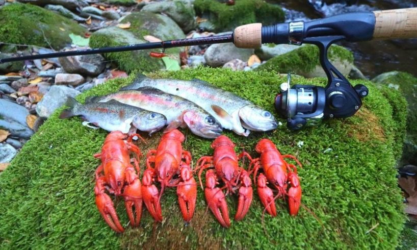 3 Hours of Trout Catch n' Cooks | Ace Videos Compilation