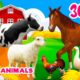 30 min Farm animal sounds Farm animals for kids Learn Farm animals Cow Horse