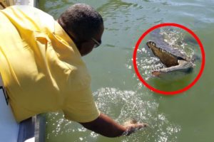 6 Crocodile Encounters That Will Terrify You