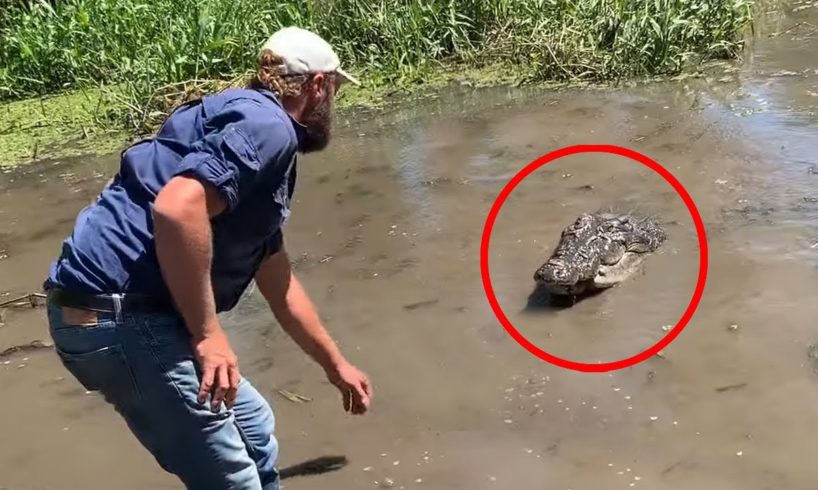 6 Crocodile Encounters You Won't Handle Watching