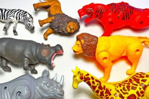 8 Transforming Animals - Lion, Tiger, Elephant, Jaguar, Elephant, Rhino, Bear, Zebra, Giraffe