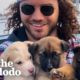 An Online Post For "Unwanted Puppies" Led Rescuer To An Entire Family Of Abandoned Dogs | The Dodo