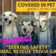 Animal Rescue Trivia Game! "Seeking Safety"