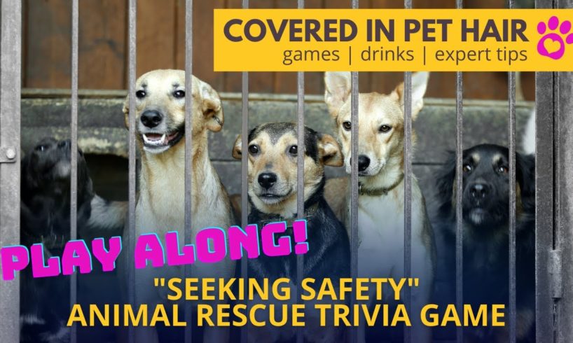 Animal Rescue Trivia Game! "Seeking Safety"