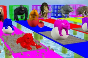 Animals Matching Game Challenge Cow Elephant Dinosaur Cow Gorilla Lion Tiger Bear Choose Right Egg