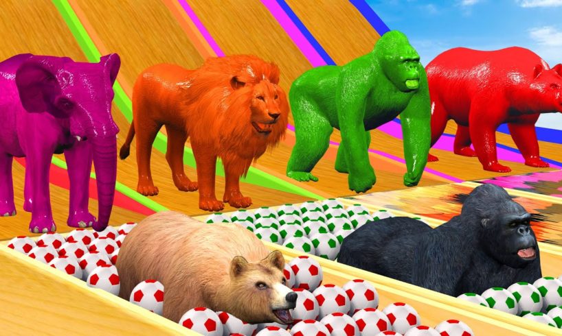 Animals Water Slide Jump Over In Soccer Balls Buffalo, Gorilla, Zombie T-Rex, Tiger, Hippopotamus